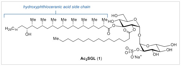 tb structure