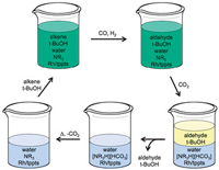 butanol water separation liquid homogeneous mixture catalyst biphasic monophasic science catalysis hydroformylation tert switchable technology