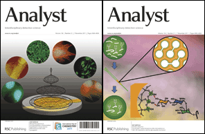 Analyst 2011, Issue 21 cover images