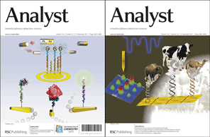 Analyst 2011, Issue 22 covers
