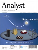 Analyst 2011, Issue 24 front cover