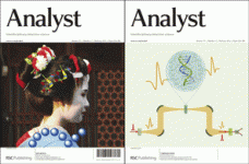 Analyst, 2012, Issue 3, cover images