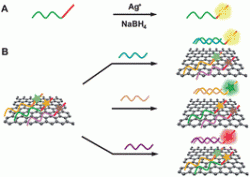 DNA-templated silver nanoclusters–graphene oxide nanohybrid materials for detection of nucleic acids