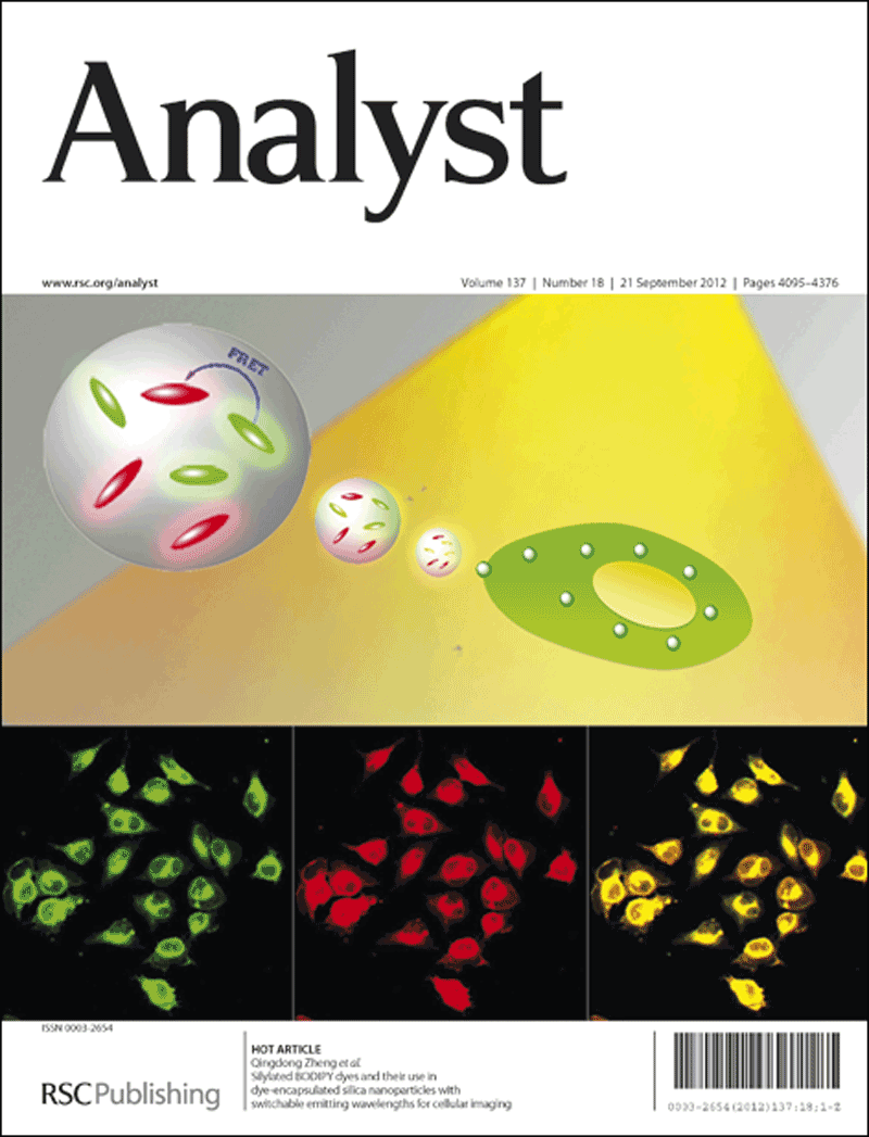 Analyst 2012, Issue 18, front cover