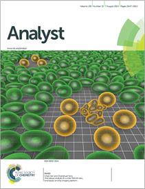 biological and synthetic nanopores and nanopipettes