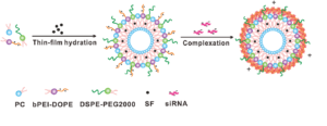 Nanoparticle delivery system