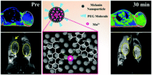 melanin-manganese nanoparticles for tumor targeting MRI agent