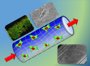 3D multiscale fiber matrices 