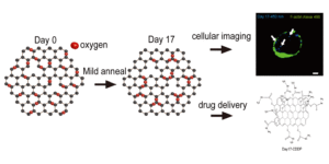 Cancer theranostics applications of Graphene Oxides