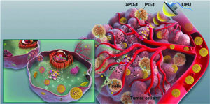 Graphical abstract image depicting immunotherapy delivery to cells