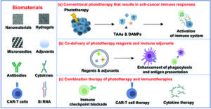 Graphical abstract image depicting in cartoon form phototherapy and in combination with immunotherapy