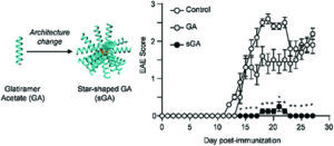 Graphical abstract depicting the architecture change of glatiramer acetate (GA) to star shaped GA and a plot of EAE score v day post-immunisation for these compounds plus a control