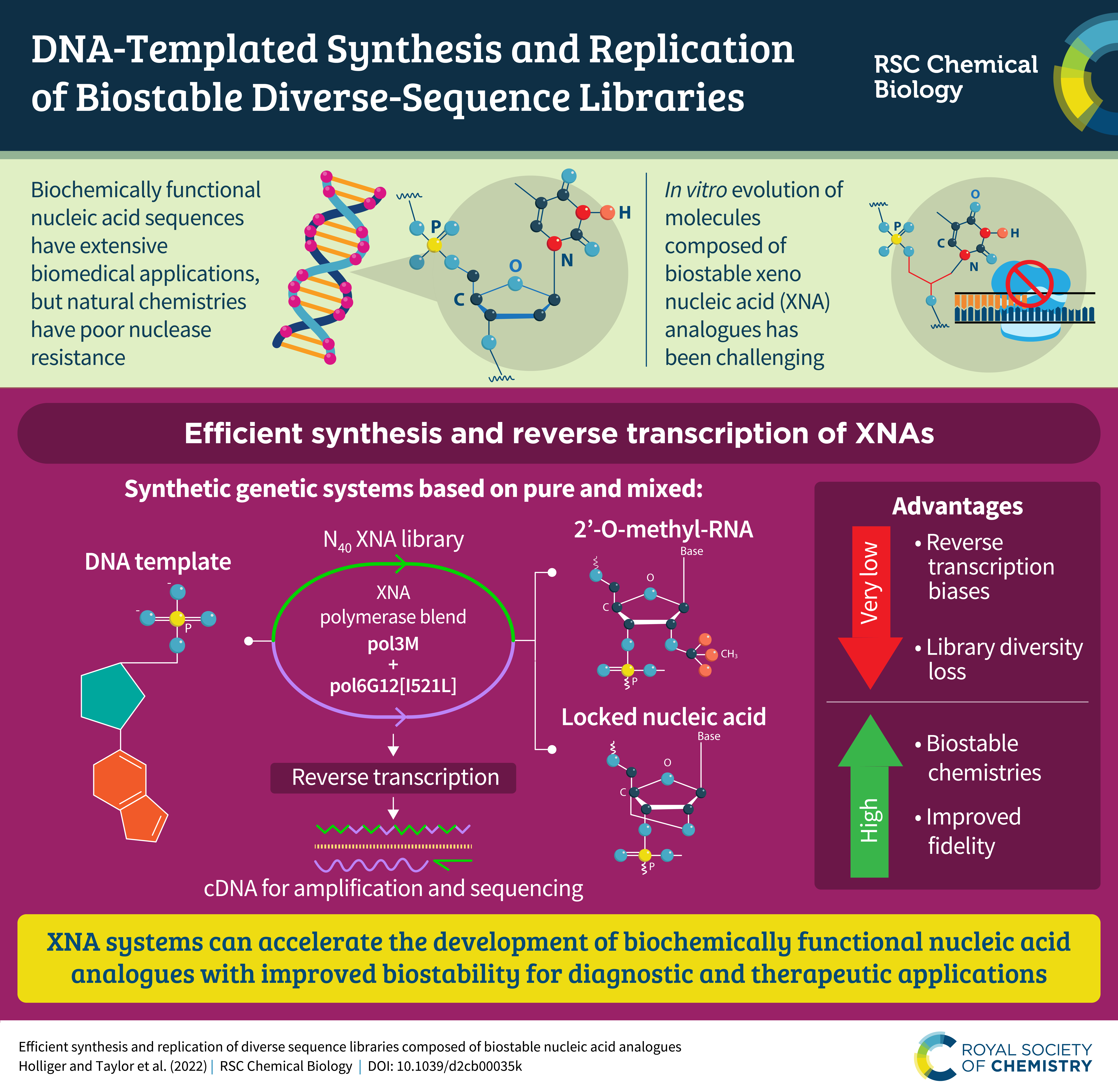 infographic of efficient synthesis and replication of diverse sequence libraries composed of biostable nucleic acid analogues