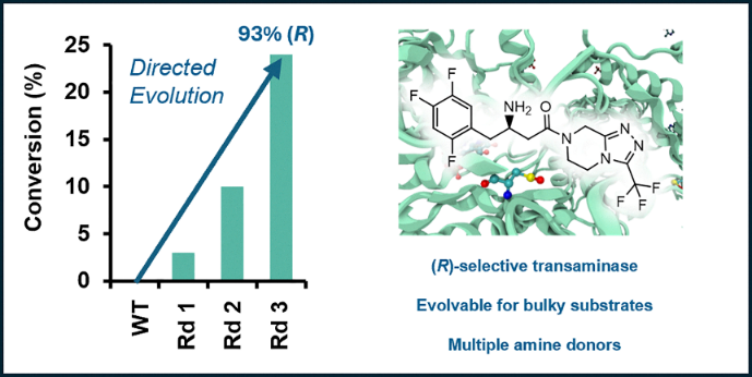 The graphical abstract of d6cb00180g