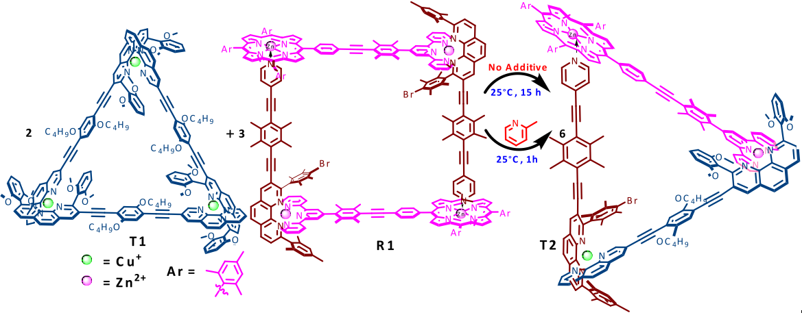 Supramolecular splicing: Catalytic fusion of supramolecules: re-shuffling of a 2-component triangle and a 3-component rectangle to give a more favoured supramolecular 5-component triangle 