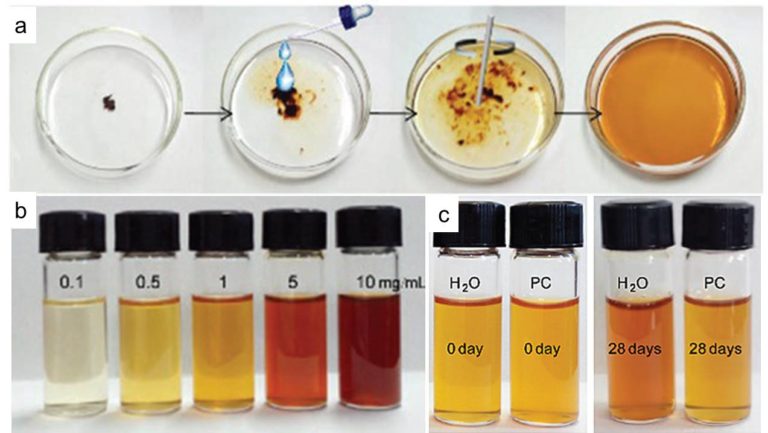 Dissolving And Stabilizing The Precursor Of Graphene In Organic ...