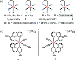 Chiral-at-metal complexes