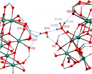 Ultra-low temperature structure determination of a Mn12 single-molecule magnet and the interplay between lattice solvent and structural disorder
