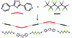 Orientation of halogen bonds has key role in controlling crystal packing