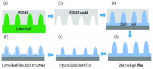 Biomimetic fabrication and tunable wetting properties