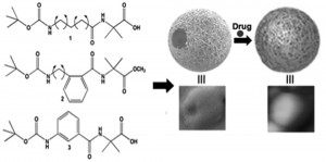 Fabrication of microspheres from self-assembled γ-peptides 