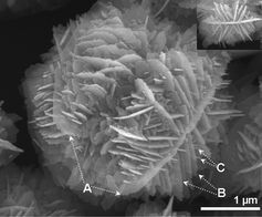 Rapid room-temperature synthesis of nanosheet-assembled ZnO mesocrystals with excellent photocatalytic activity 