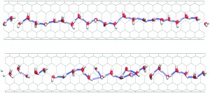 water molecules in carbon nanotubes