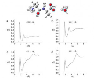 molecular image plus 4 graphs