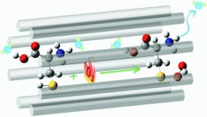 Oxidation of gas-phase hydrated protonated/deprotonated cysteine: how many water ligands are sufficient to approach solution-phase photooxidation chemistry? 