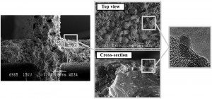 Total oxidation of naphthalene at low temperatures using palladium nanoparticles supported on inorganic oxide-coated cordierite honeycomb monoliths