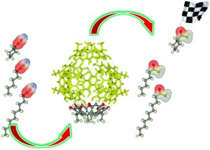 Substrate Selectivity in the Alkyne Hydration Mediated by NHC-Au(I) controlled by Encapsulation of the Catalyst within a Hydrogen Bonded Hexameric Host 