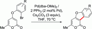 Pd-catalysed regioselective C–H functionalisation of 2-pyrones