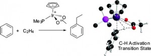 Computational study of ethene hydroarylation at [Ir(κ2-OAc)(PMe3)Cp]+