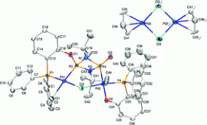 Transition metal chemistry of cyclodiphosphanes containing phosphine and amide-phosphine functionalities: Formation of a stable dipalladium(II) complex containing a Pd–P σ-bond.