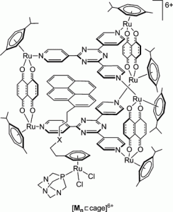 caged pyrenyl arene ruthenium complex