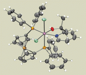 Mechanistic Organometallic chemistry