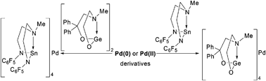 Palladium complexes with stabilized germylene and stannylene ligands