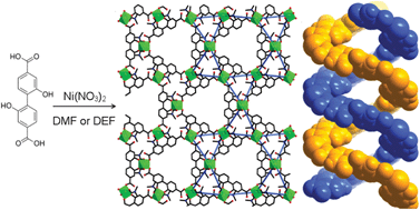 Solvent-modified dynamic porosity in chiral 3D kagome frameworks