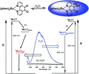 Water detection by “turn on” fluorescence of the quinone-containing complexes [Ru(phen)2(1,10-phenanthroline-5,6-dione)2+] and [Ru(phenanthroline-5,6-dione)3]2+
