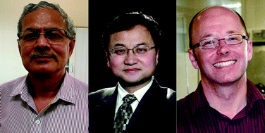 Vadapalli Chandrasekhar, Guo-Xin Jin, Paul Low, New Talent: Asia-Pacific 2019 Dalton Transactions, Royal Society of Chemistry
