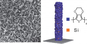PEDOT-coated nanowires and the molecular structure of PEDOT
