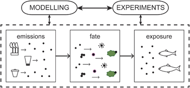 nanoparticles, environment, risk assessment