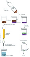 essay on contribution of chemistry