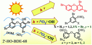  Distinct photoproducts of hydroxylated polybromodiphenyl ethers from different photodegradation pathways: a case study of 2′-HO-BDE-68