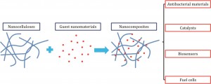 Nanocellulose-based nanocomposites