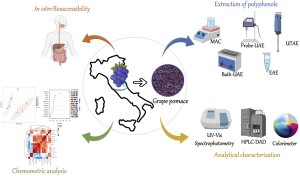 A graphical summary of the paper