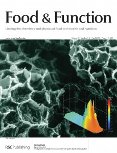 Development of a simple model device for in vitro gastric digestion investigation