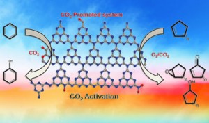 Carbon dioxide is used to promote the oxidation reactions of several cyclic alkenes 