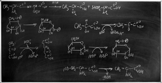 Reaction schemed written in chalk on a blackboard showing the application of biocatalysts