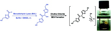 Upgrading biogenic furans: blended C10–C12 platform chemicals via lyase-catalyzed carboligations and formation of novel C12 – choline chloride-based deep-eutectic-solvents